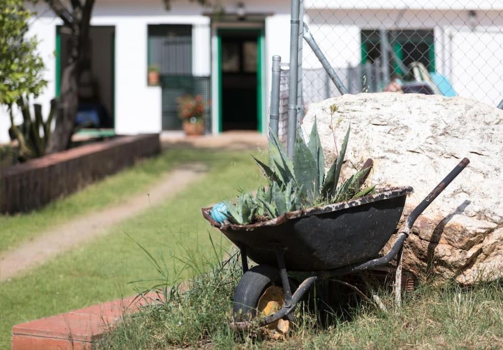 Cottage Eco-Friendly Barcelona Country Side La Garriga Buitenkant foto