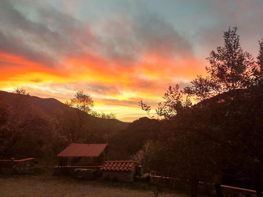 Cottage Eco-Friendly Barcelona Country Side La Garriga Buitenkant foto