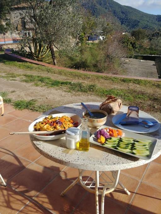 Cottage Eco-Friendly Barcelona Country Side La Garriga Buitenkant foto