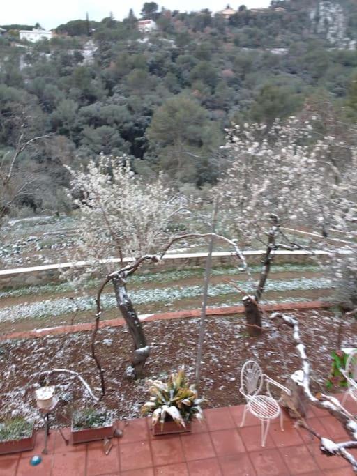 Cottage Eco-Friendly Barcelona Country Side La Garriga Buitenkant foto