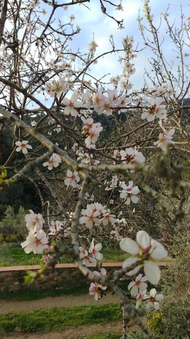 Cottage Eco-Friendly Barcelona Country Side La Garriga Buitenkant foto